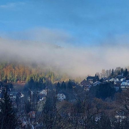 Haus-Herzogenhorn-Sunrise Todtmoos Zewnętrze zdjęcie