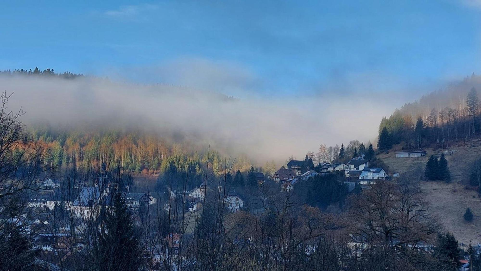 Haus-Herzogenhorn-Sunrise Todtmoos Zewnętrze zdjęcie